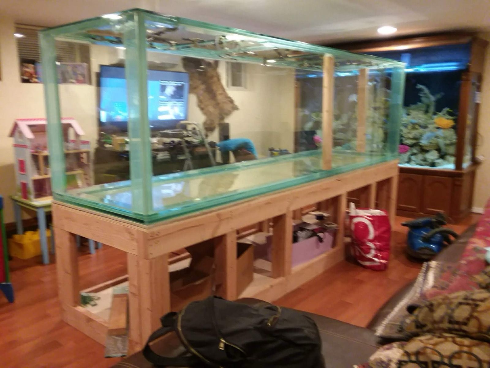 Large custom freestanding aquarium on heavy-duty wooden frame in residential space Brooklyn